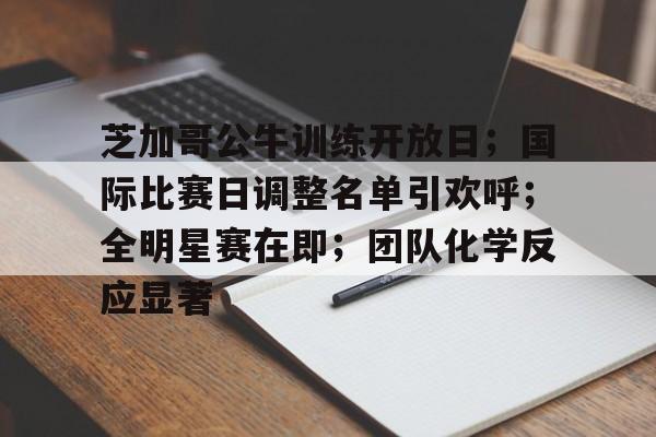 芝加哥公牛训练开放日；国际比赛日调整名单引欢呼；全明星赛在即；团队化学反应显著的简单介绍